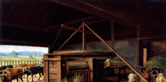 250 Anos de História: ciclos do café e da cana-de-açúcar