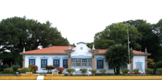 Imigração em Campinas