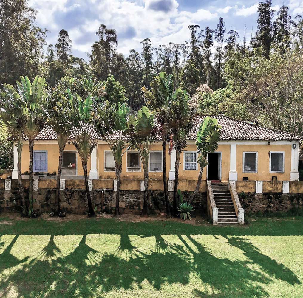 fazenda floresta