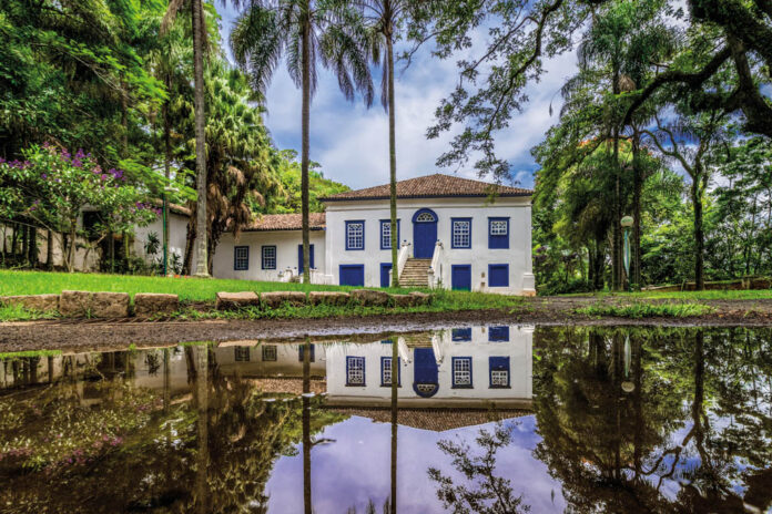 fazenda mato dentro