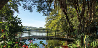 Mata de Santa Genebra